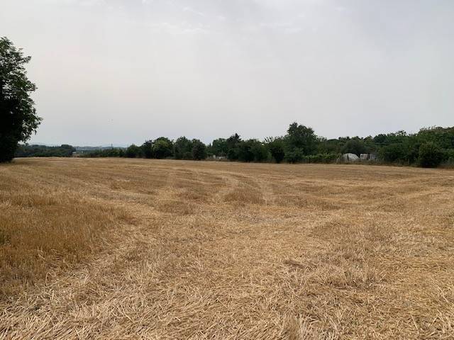 terreno agricolo in vendita a Misano Adriatico in zona Belvedere