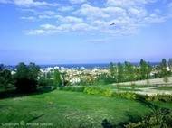 terreno agricolo in vendita a Misano Adriatico
