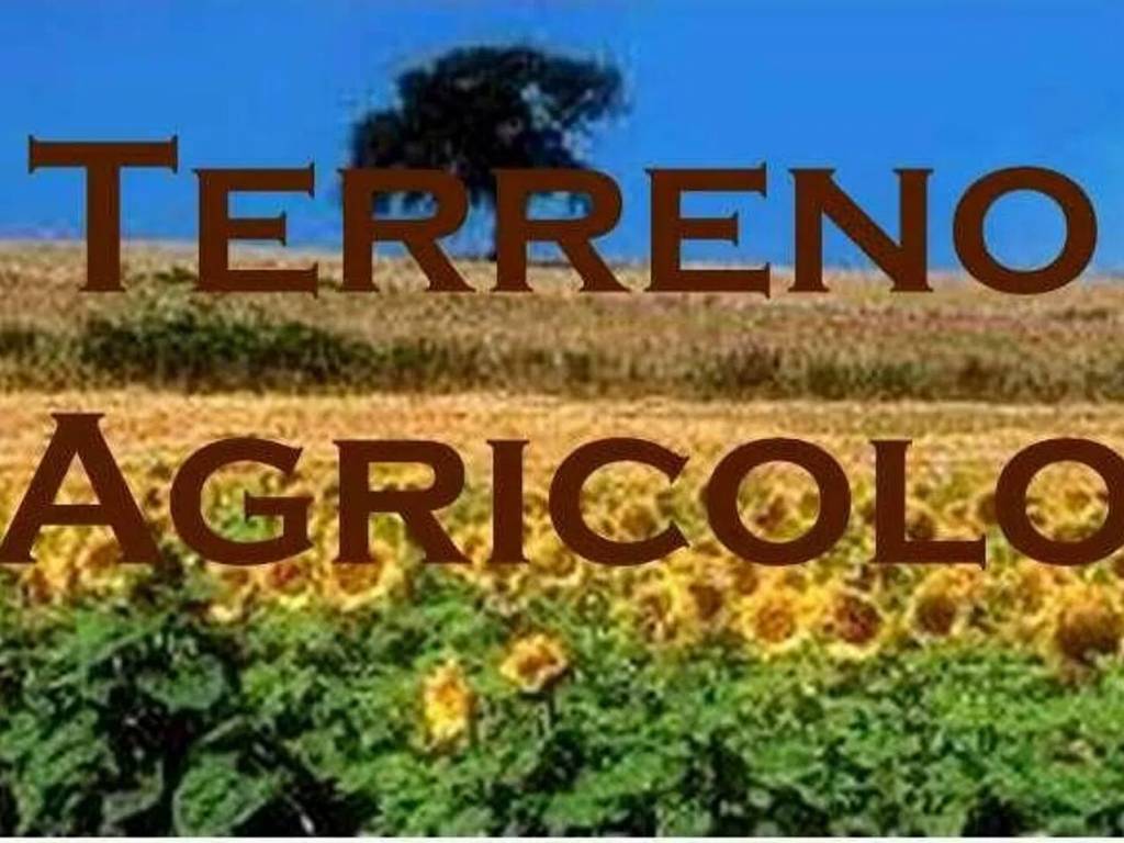 terreno agricolo in vendita a Misano Adriatico in zona Scacciano