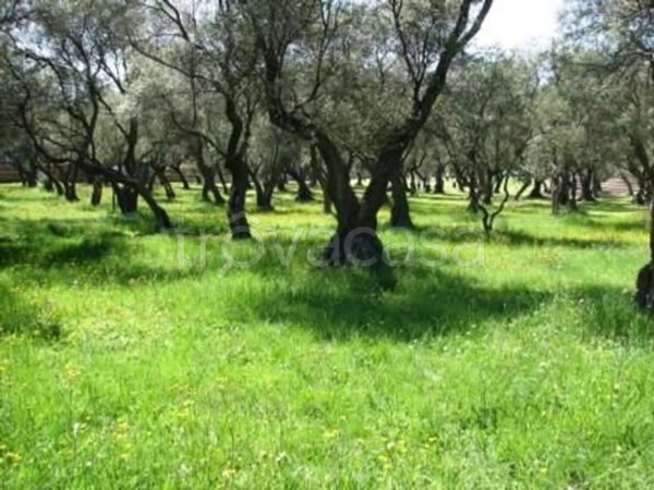 casa indipendente in vendita a Misano Adriatico