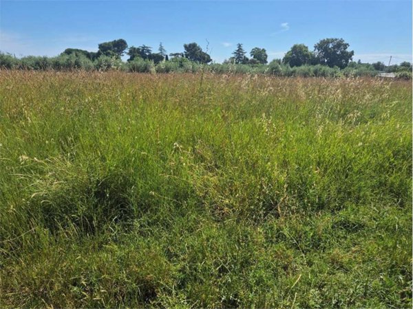terreno agricolo in vendita a Misano Adriatico