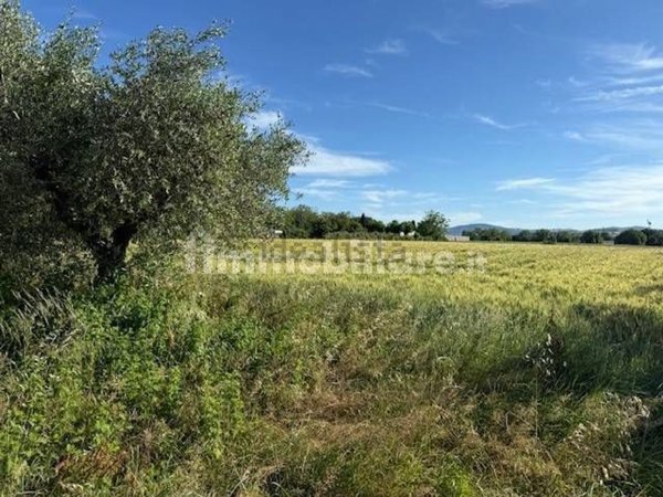 terreno agricolo in vendita a Misano Adriatico in zona Villaggio Argentina