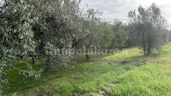 terreno agricolo in vendita a Misano Adriatico in zona Misano Monte