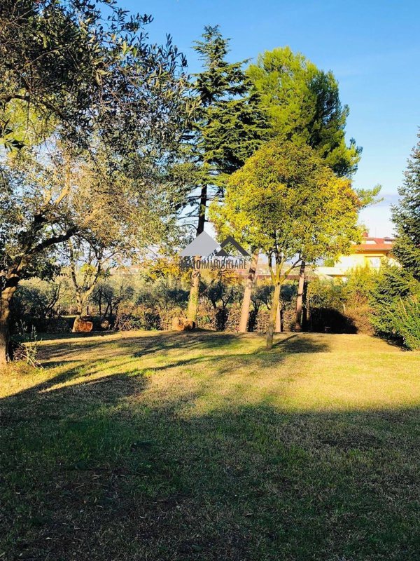 casa indipendente in vendita a Misano Adriatico in zona Scacciano