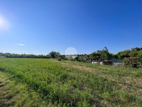 terreno agricolo in vendita a Misano Adriatico in zona Misano Monte