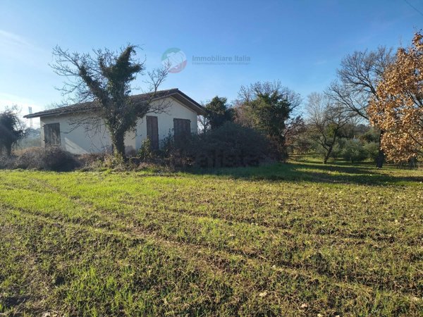 casa indipendente in vendita a Misano Adriatico in zona Villaggio Argentina