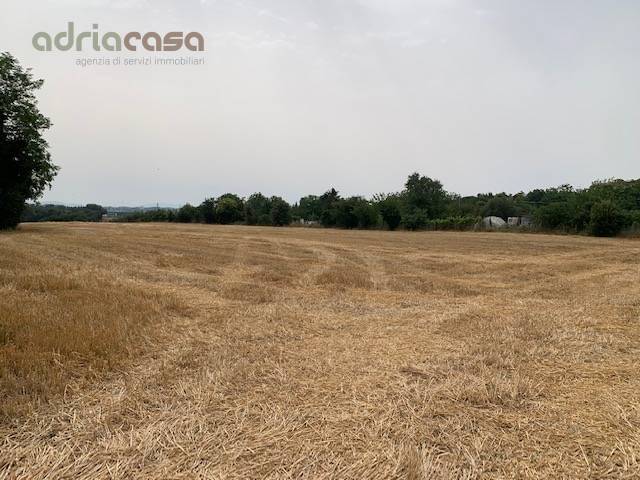terreno agricolo in vendita a Misano Adriatico in zona Belvedere