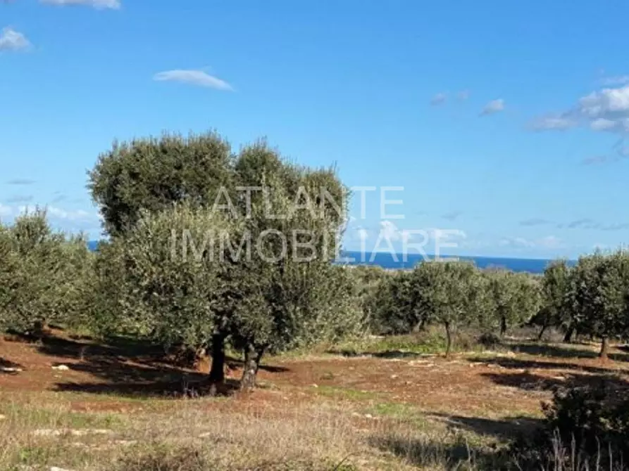 terreno in vendita a Misano Adriatico in zona Misano Monte