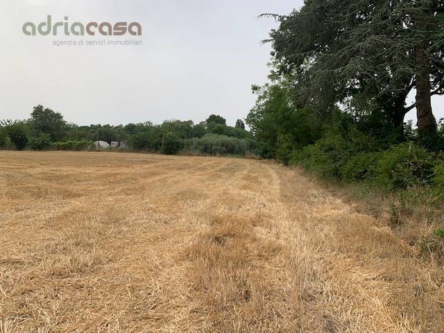 terreno agricolo in vendita a Misano Adriatico in zona Belvedere