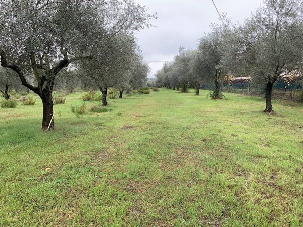terreno agricolo in vendita a Misano Adriatico in zona Scacciano