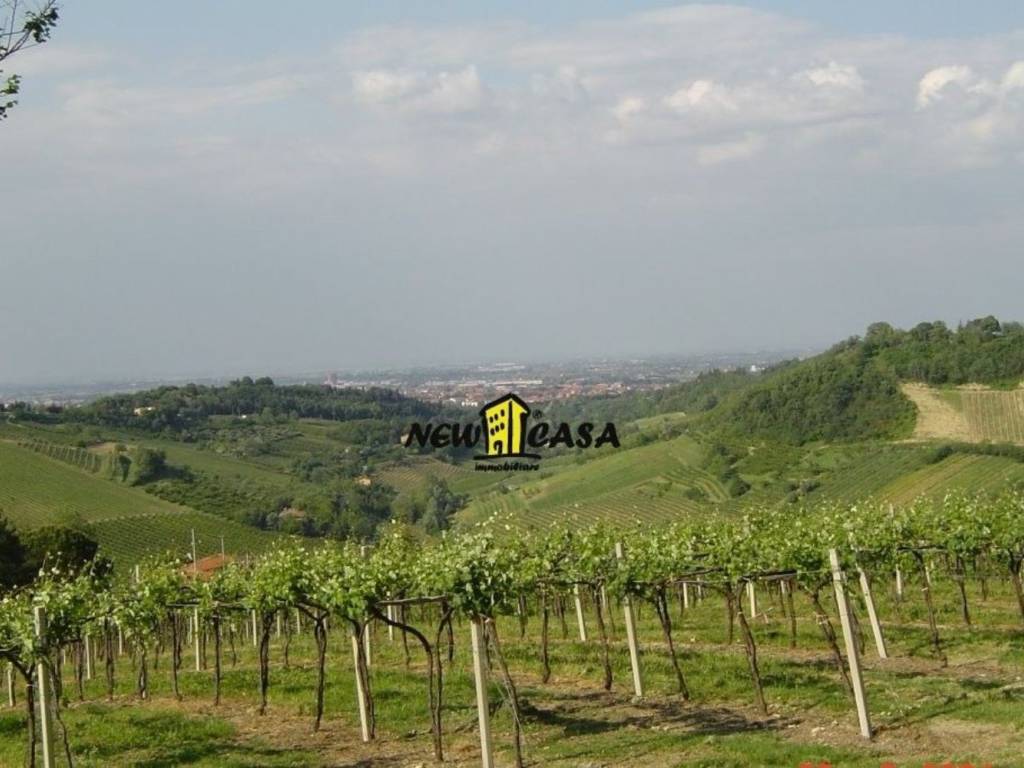 negozio in vendita a Mondaino