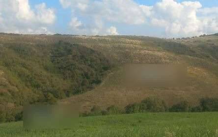 terreno agricolo in vendita a Mondaino