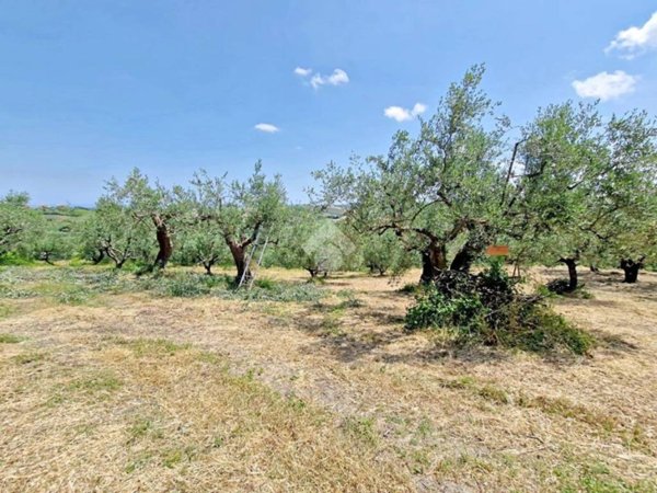 terreno agricolo in vendita a Montefiore Conca in zona Serbadone