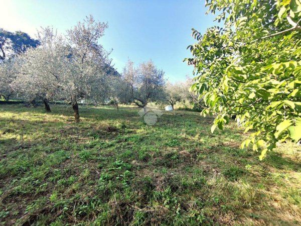 terreno agricolo in vendita a Montefiore Conca in zona Serra di Sotto