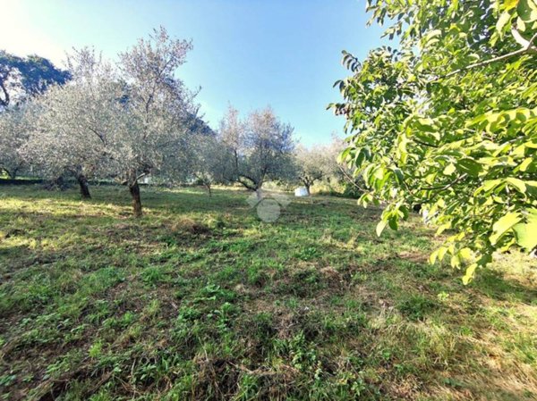 terreno agricolo in vendita a Montefiore Conca in zona Serra di Sotto