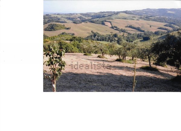 terreno agricolo in vendita a Montefiore Conca in zona Serbadone