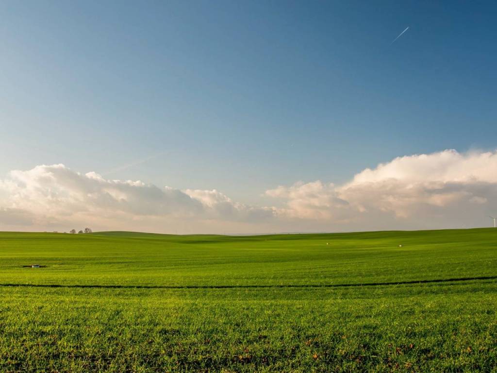 terreno agricolo in vendita a Montefiore Conca