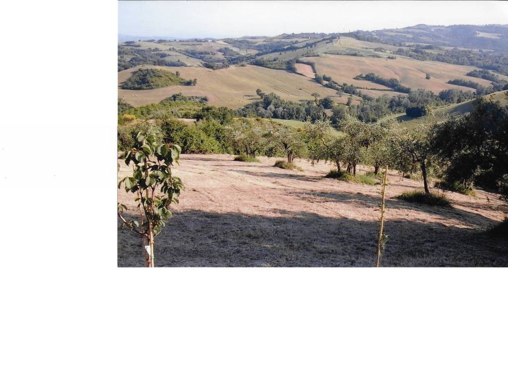 terreno agricolo in vendita a Montefiore Conca in zona Serbadone