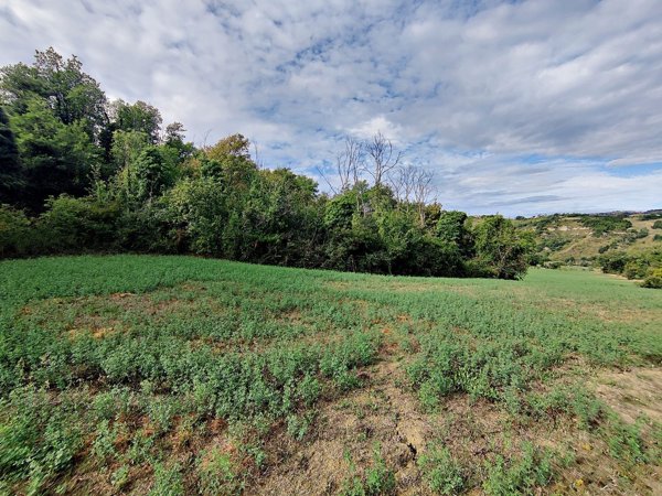 appartamento in vendita a Montefiore Conca in zona Borgo Pedrosa