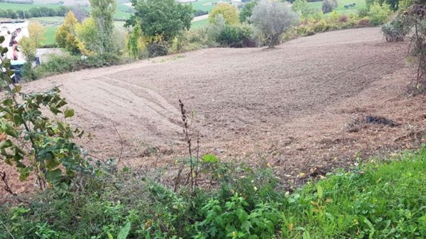 terreno agricolo in vendita a Montegridolfo in zona Trebbio