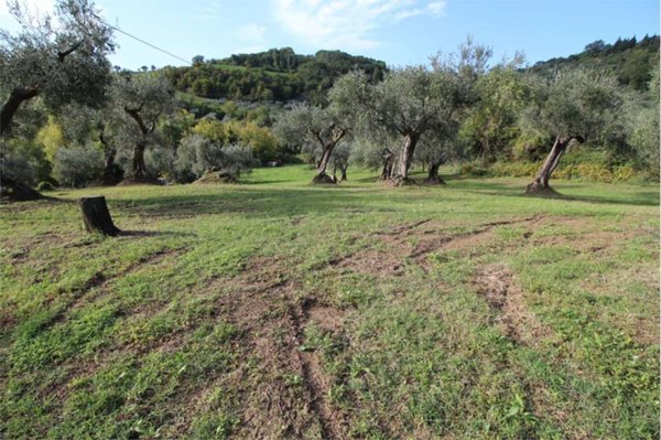 villa in vendita a Montegridolfo