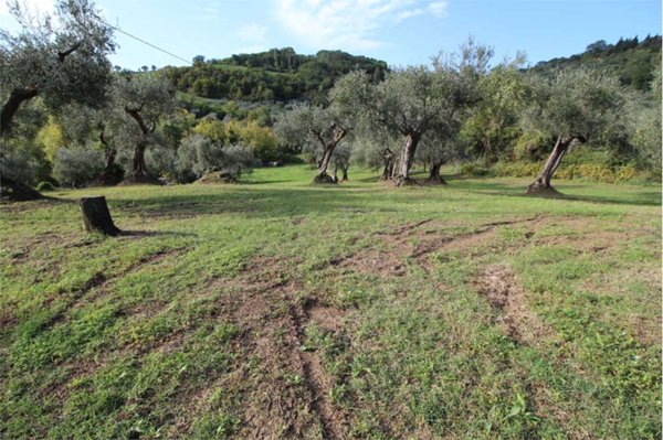 villa in vendita a Montegridolfo