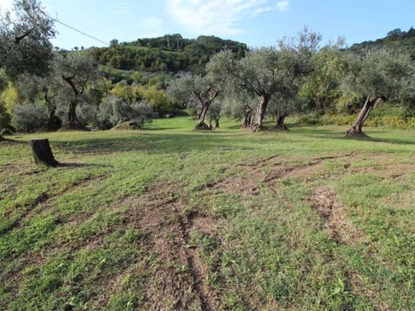 villa in vendita a Montegridolfo