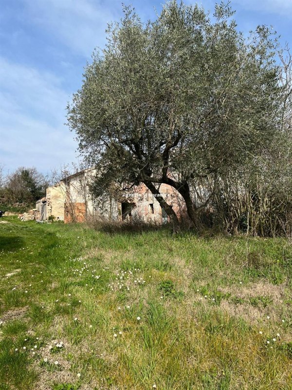 casale in vendita a Montegridolfo in zona San Pietro