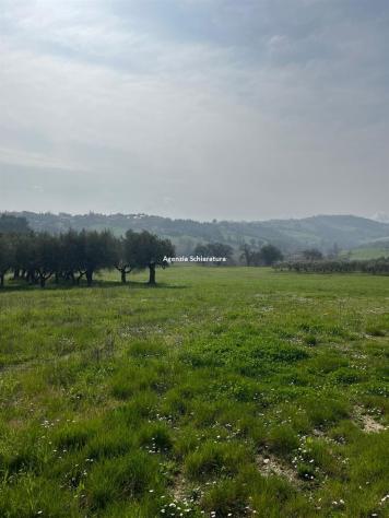 terreno agricolo in vendita a Montegridolfo