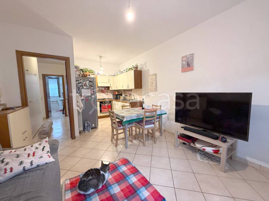 appartamento in vendita a Morciano di Romagna