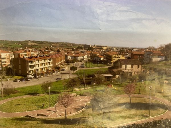 esavano in vendita a Morciano di Romagna