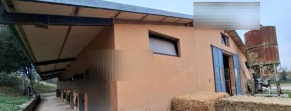 capannone in vendita a Morciano di Romagna