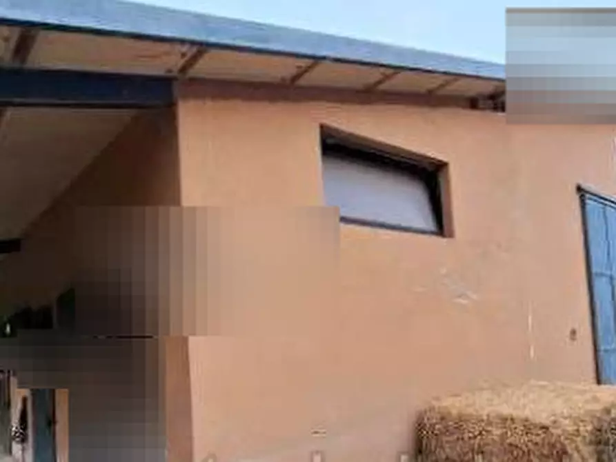 capannone in vendita a Morciano di Romagna