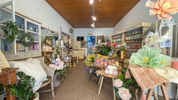 negozio in vendita a Morciano di Romagna