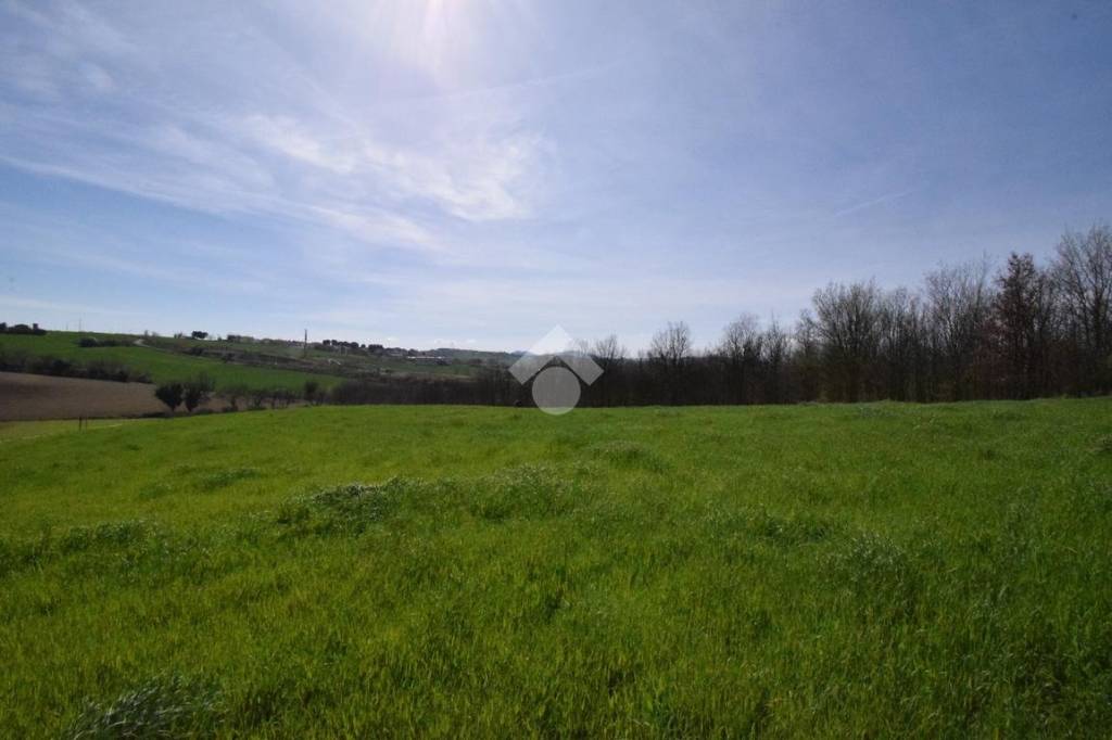 terreno agricolo in vendita a Riccione