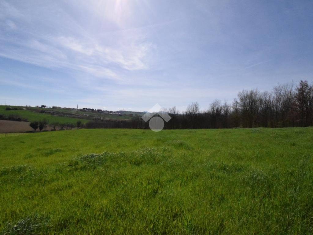 terreno agricolo in vendita a Riccione