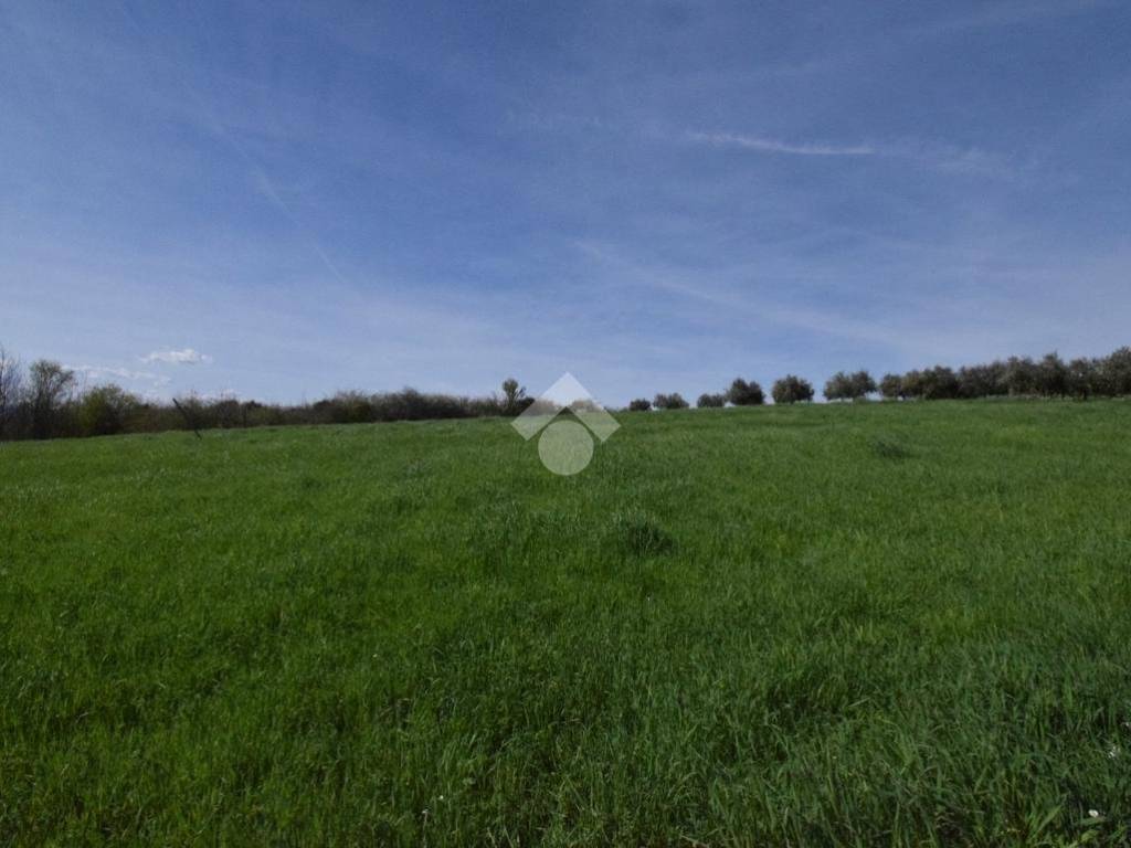 terreno agricolo in vendita a Riccione