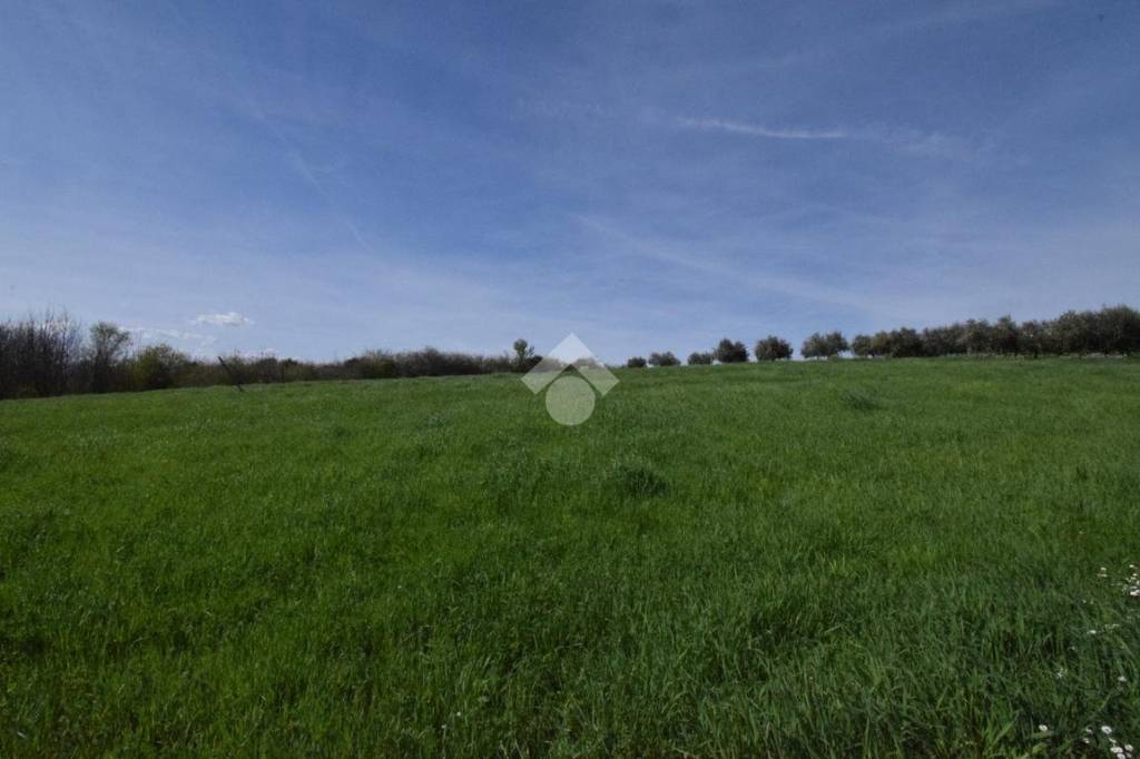 terreno agricolo in vendita a Riccione