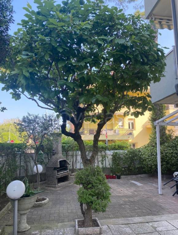 appartamento in vendita a Riccione in zona Alba