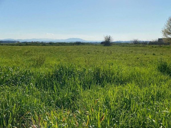 terreno agricolo in vendita a Riccione in zona Alba