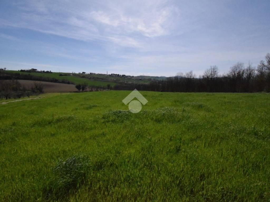terreno agricolo in vendita a Riccione