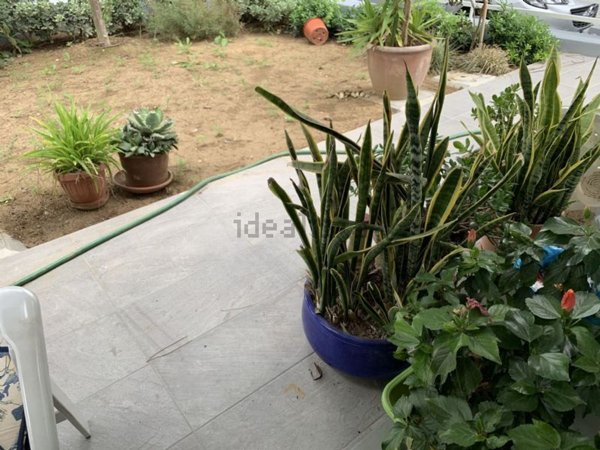 appartamento in vendita a Riccione