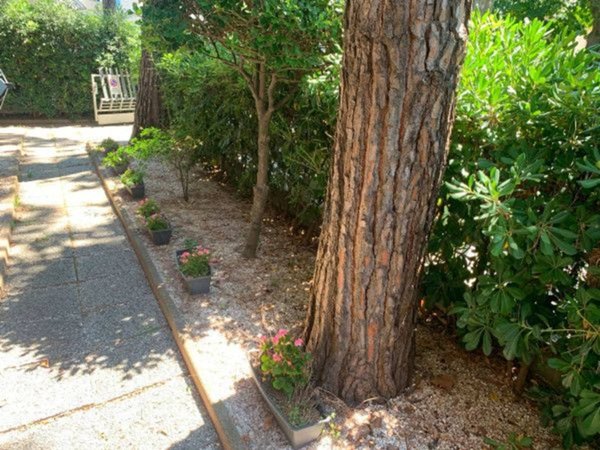 appartamento in vendita a Riccione in zona Alba
