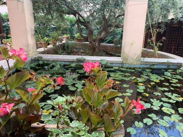 casa indipendente in vendita a Riccione