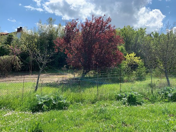 appartamento in vendita a Riccione in zona Alba