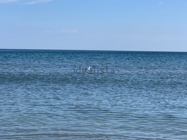 ufficio in vendita a Riccione