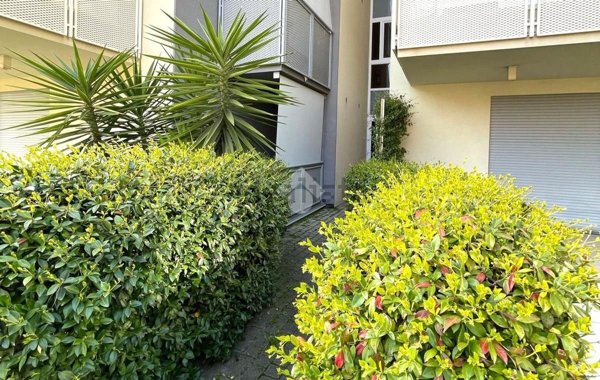 appartamento in vendita a Riccione in zona Alba