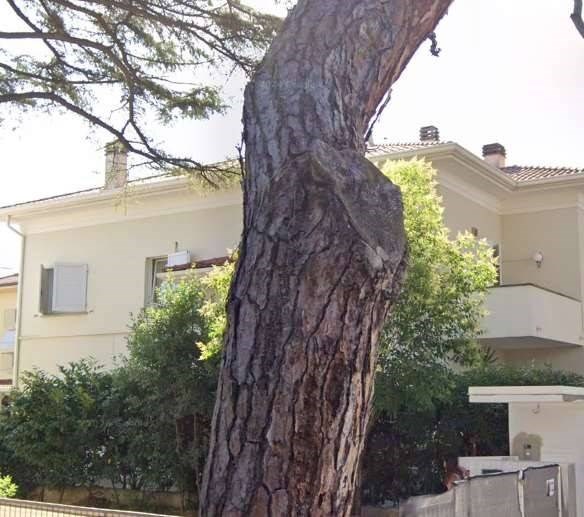 casa indipendente in vendita a Riccione