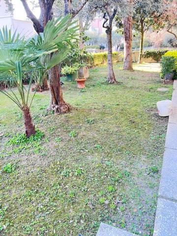 appartamento in vendita a Riccione in zona Alba