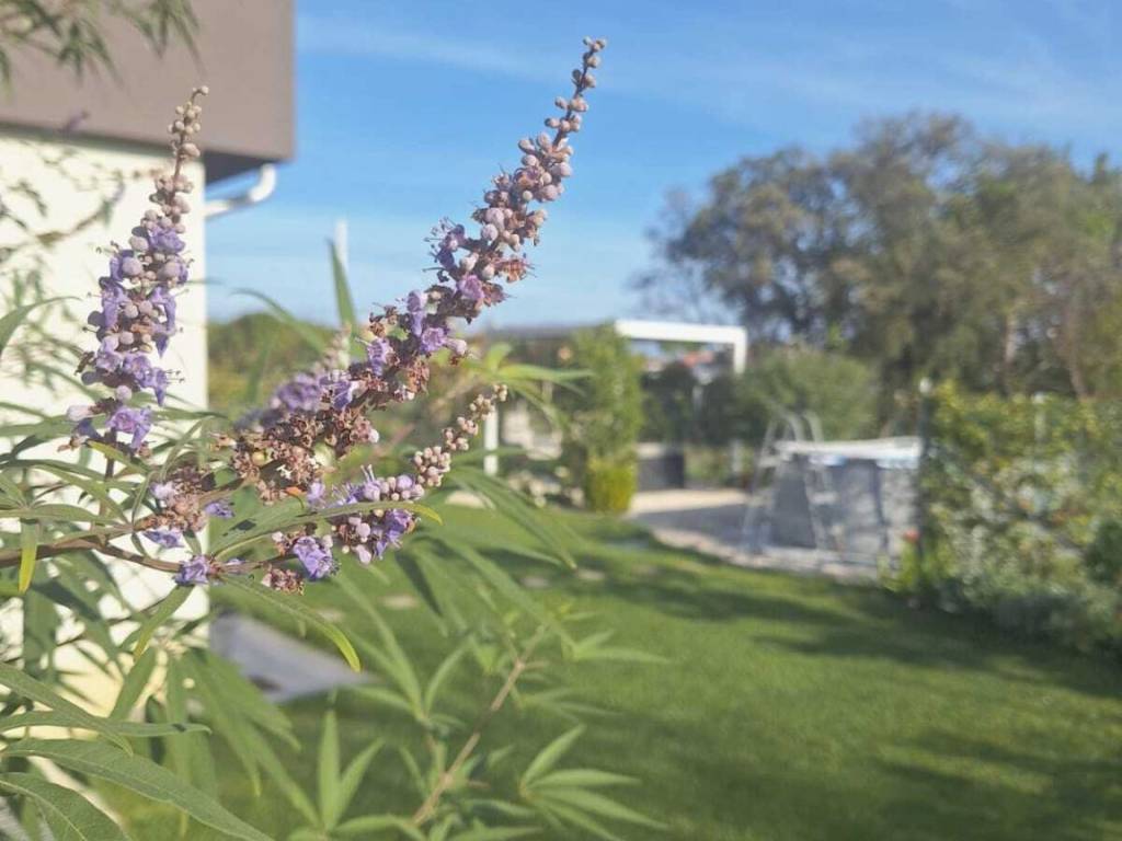 appartamento in vendita a Riccione